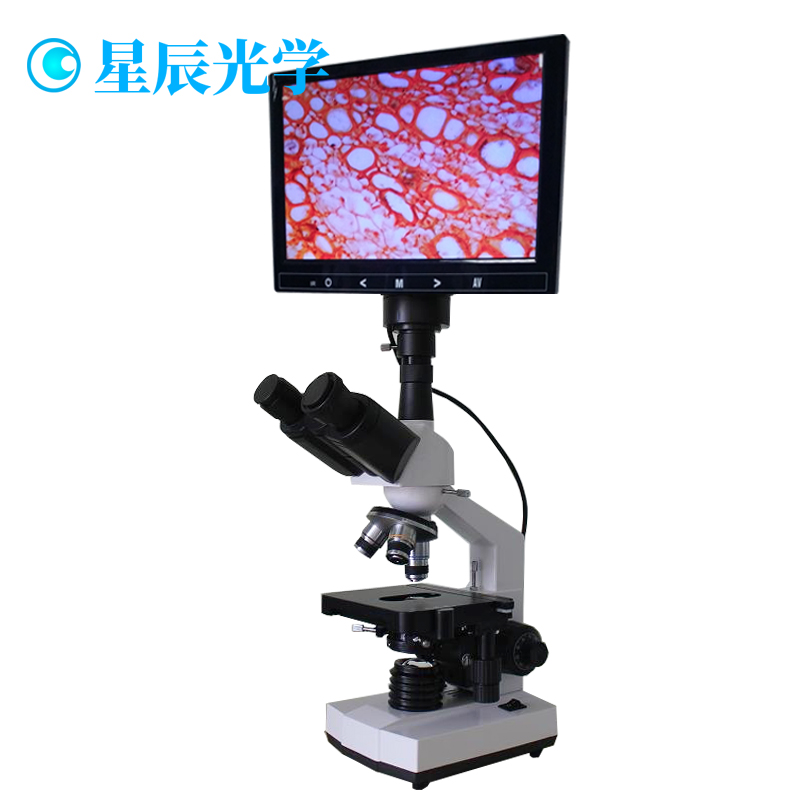 高清专业血液分析细胞螨虫检测显微镜一滴血检测仪显微镜