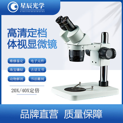 星辰光学XC-24B1定倍体视显微镜