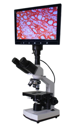 一滴血检测仪 XC-J301