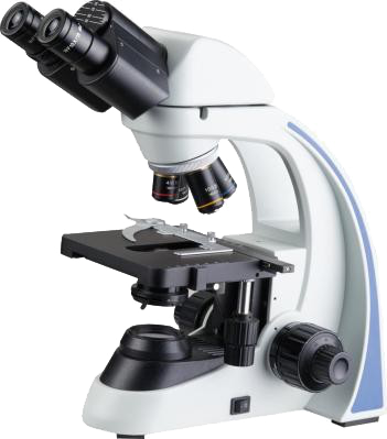 SW1000 (2).png