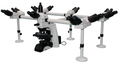 NE900 系列多人共览显微镜
