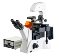倒置荧光显微镜XDY-2